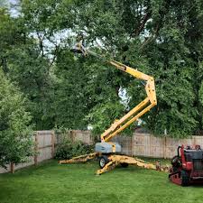 Best Hazardous Tree Removal  in Brown Deer, WI